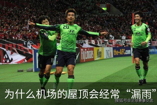 为什么机场的屋顶会经常“漏雨”？用“苔藓”来接漏水也不过是“缓解下旅客心情”而已！