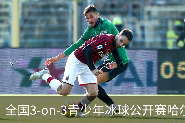 全国3-on-3青少年冰球公开赛哈尔滨赛区比赛收官