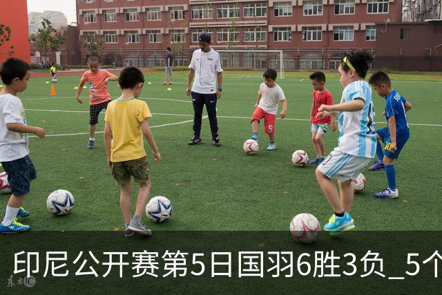 印尼公开赛第5日国羽6胜3负 5个单项背靠背进决赛