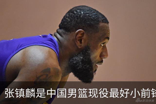 张镇麟是中国男篮现役最好小前锋！比曾凡博耐操，比崔永熙实用