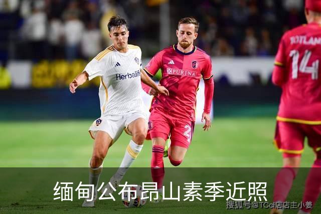 缅甸公布昂山素季近照